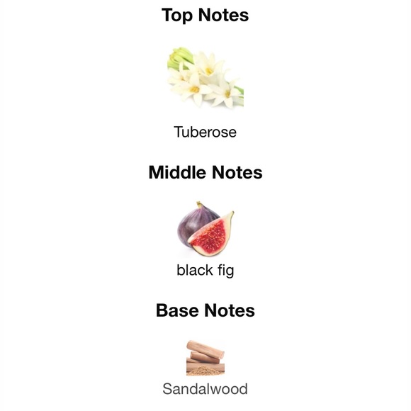 Jean Paul Gaultier Absolu - Picture 5 of 7